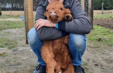 Agroturystyka "Apartament na wsi" Bory Tucholskie - Foto 27