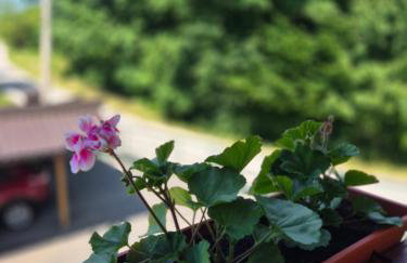 Apartment Slap - Foto 14