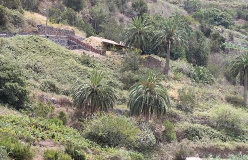 Casa Rural El Rincón de Antonia - Foto 1