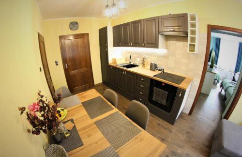 Apartamenty Zielone Centrum - Foto 28