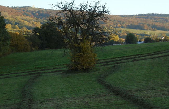 Csilla Comfortable Holiday Residence - Foto 40