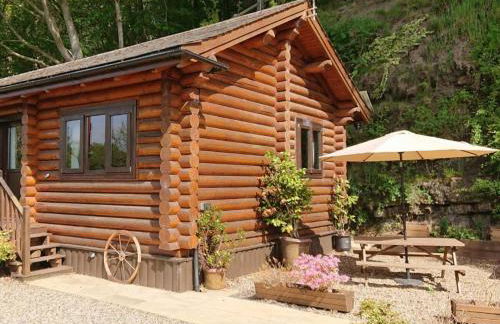 Howburn Log Cabin - Foto 12