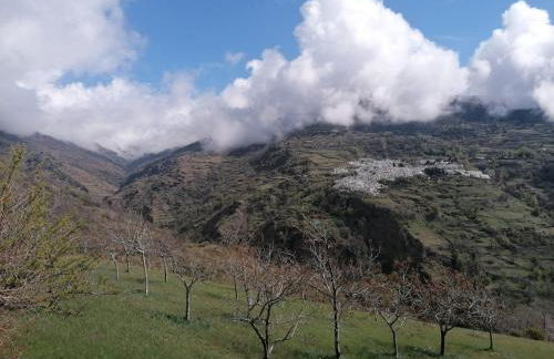 Casa abuela pilar - Foto 26