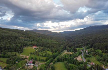 Strefa Ciszy -Lawenda - Foto 31