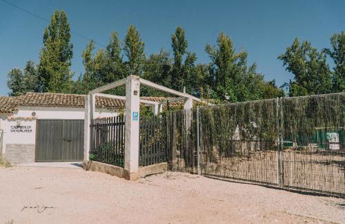 La huerta de Carmen - Foto 12