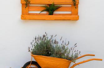 Apartamentos Flor da Laranja, Albufeira by AlgarveBlossom - Foto 38