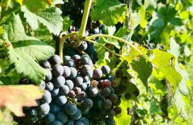 Casa sul fiume - Foto 28