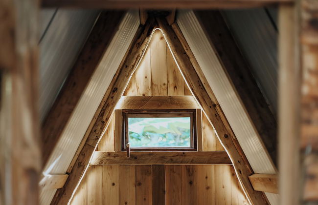 Banana Eco Camp - Foto 44