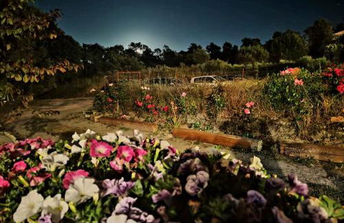 Casa Rural Balcón del Camino Viejo - Foto 52