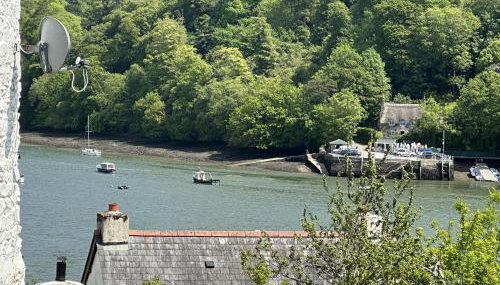 Holly Cottage - characterful cottage a stones throw from river Dart with front & back patios - Foto 4