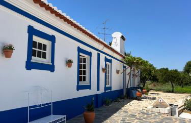 Horta do Monte - Foto 50