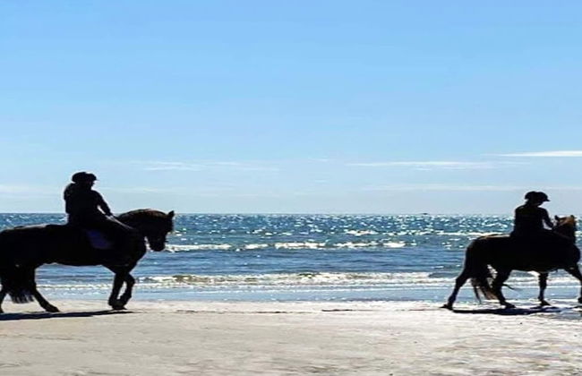 6 Person Holiday Home in Hadsund - Foto 26