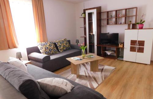 Apartment Petrovic - Foto 16