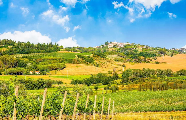 Rustic Farmhouse in Terricciola - Foto 33