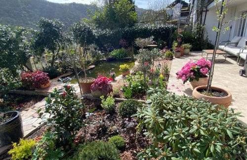 Pension mit Moselblick - Foto 74