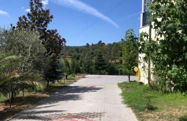 Quinta da Fervença, private river place to relax.. - Foto 7