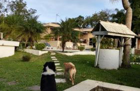 Chácara em Guararema Brasil - Foto 11