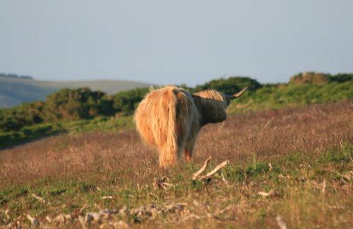Chapel Cottage Exford - Photo 28