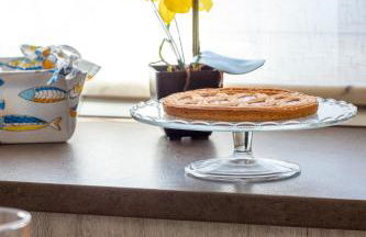 Butterfly House - Photo 7