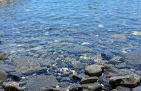 Dalla Spiaggetta a Quinto - Foto 76