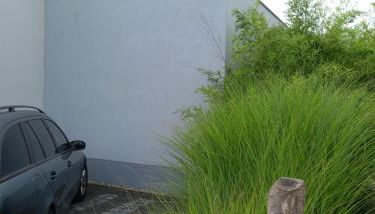 Strandhaus "Knuffeltje" - Foto 5