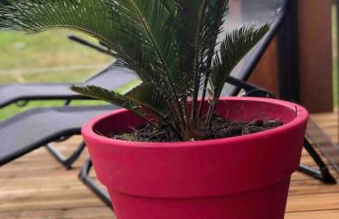 chalet atypique proche Portbail Denneville - Photo 2