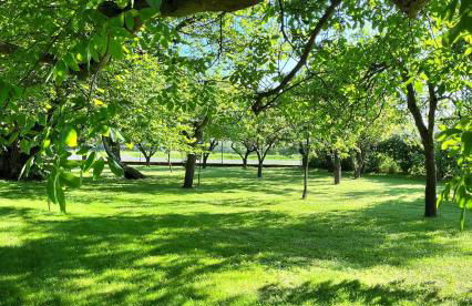 Landidyll Elmenhorst Wohnung 01 - Foto 66