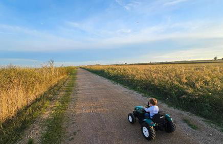Masos Bruguera - Finca Llambrich - Foto 45