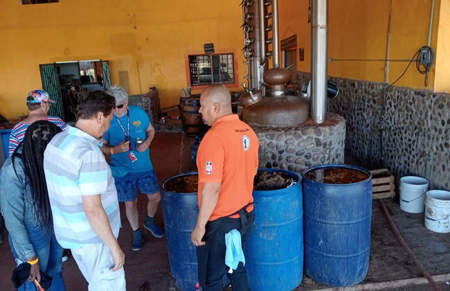 Visita del Rancho Mr. Lionso + Degustazione di mescal - Foto 7