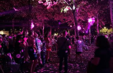 Magnifique T2 avec parking privatif proche Gare, salle de concert, centre ville - Foto 18