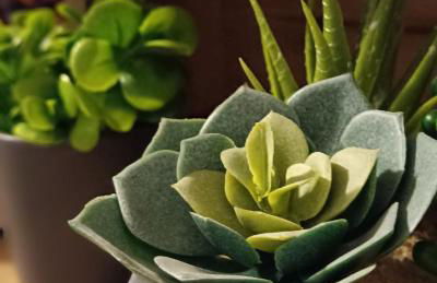 Bilocale a Rho in classe A con Garage - Foto 19