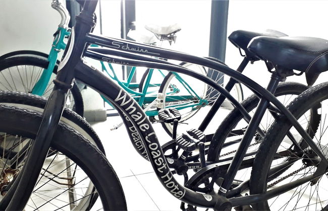 Whale Coast All Suite Hotel - Foto 20