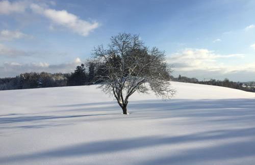 Ferienwohnung Gruberhof - Foto 29
