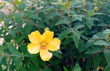 Gite L'Entraxe très lumineux au cœur de Saint Didier - Foto 14