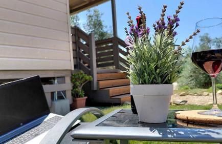 Podere Cortesi Agriturismo Molinaccio - Foto 23