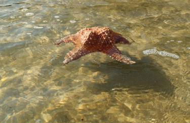 Flat coração de Angra - Foto 9