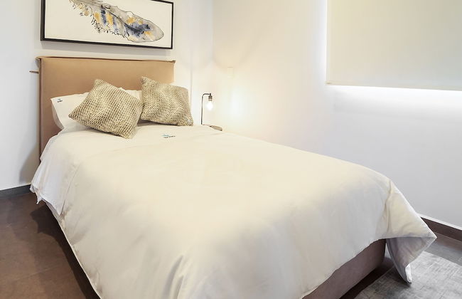 Tribu Coordenada Lafayette - Foto 9