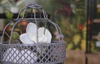 Appart Cosy 4 personnes avec terrasse - Photo 33