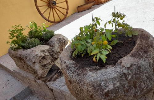 Casa Rural del Tío Maino - Foto 35