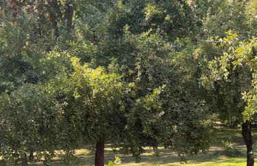 Gîtes du Semeno - Foto 24