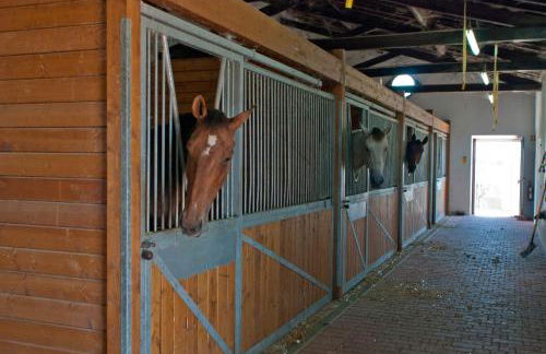 Quinta da Gafaria - Foto 36