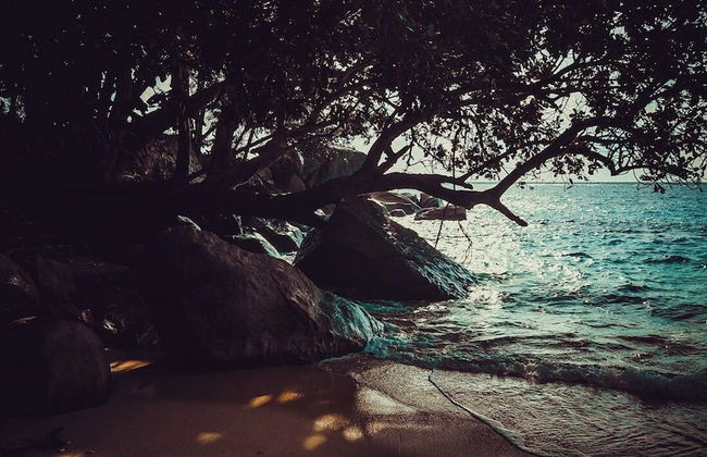 Creole Breeze Self Catering Apartments - Photo 24