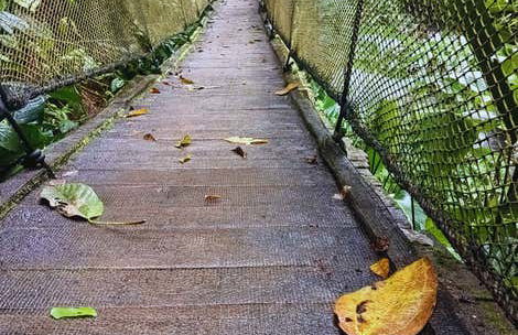 Rainmaker Park Hiking Tour - Foto 8