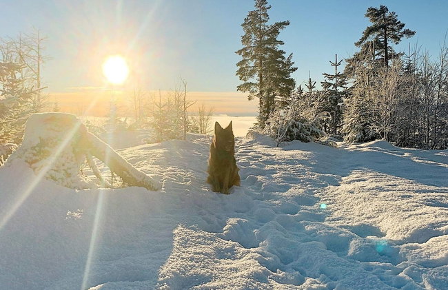 4 Star Holiday Home in Fall-by Traum - Foto 24