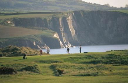 Cwtch Ffynnone Luxury Shepherds Hut - Foto 33