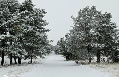 Vistas Del Maestrazgo apartamentos Rurales - Foto 19