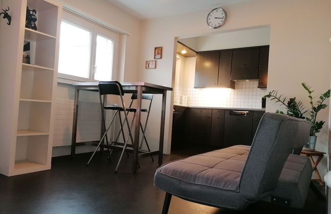 House at Rotsee Lake Lucerne - Foto 10