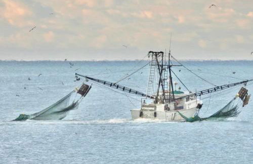 Topsail Treasure's - Oceanfront Luxury Spa Pool - Foto 53