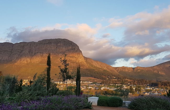 La Cotte Forest Cottages - Foto 31