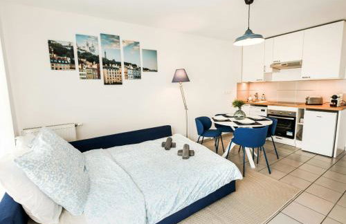 T2 Cocon Prestige Lyonnais : Sécurité Commodités - Foto 24